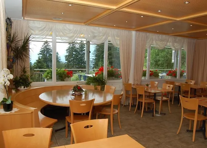 Hotel Alvier Seminar- Und 3*