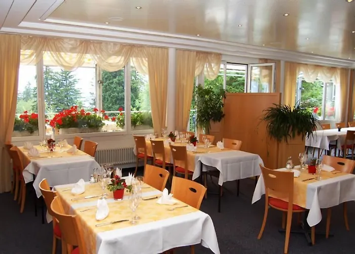 Hotel Alvier Seminar- Und Obersaxen